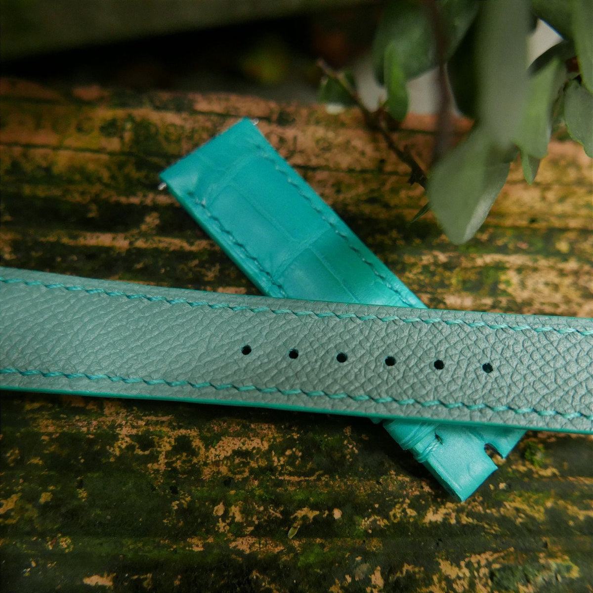 aqua blue alligator leather watch strap – photo 3