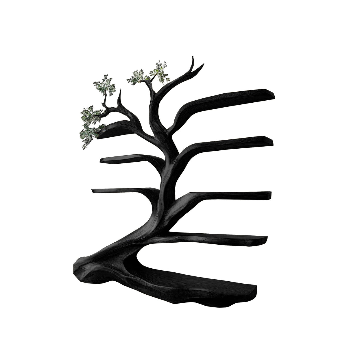 Leaning Tree Live Edge Solid Wood Bookshelf, Floor Standing in Black finish