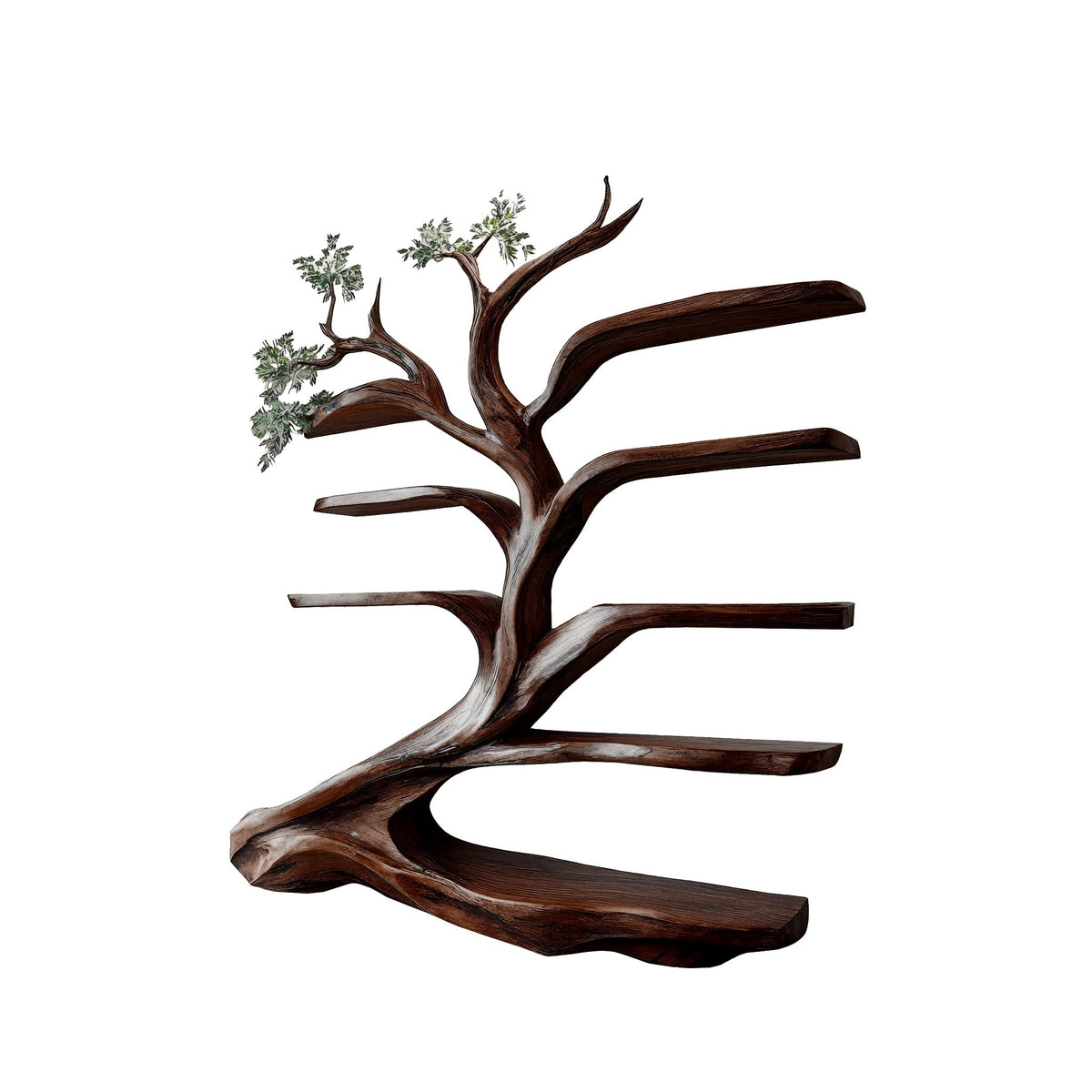 Leaning Tree Live Edge Solid Wood Bookshelf, Floor Standing in Dark Walnut finish