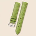 Light Green Alligator Leather Watch Strap leather watch strap, flat lay
