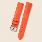 Orange Stingray Leather Watch Strap leather watch strap, flat lay